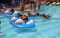 Attractions in pool